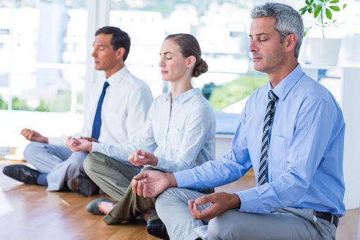 Meditation and awareness in mind training