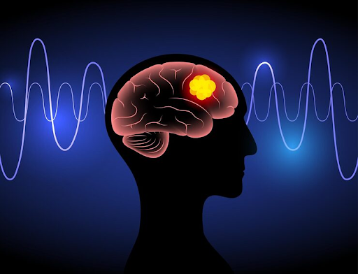 Brain waves illustration showing different states during mind training